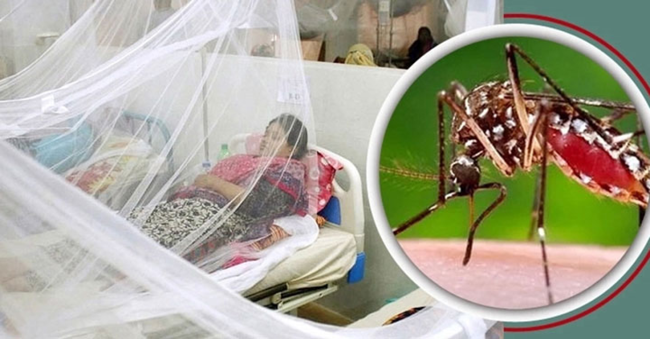 ২৪ ঘণ্টায় এক ডেঙ্গু রোগীর মৃত্যু
