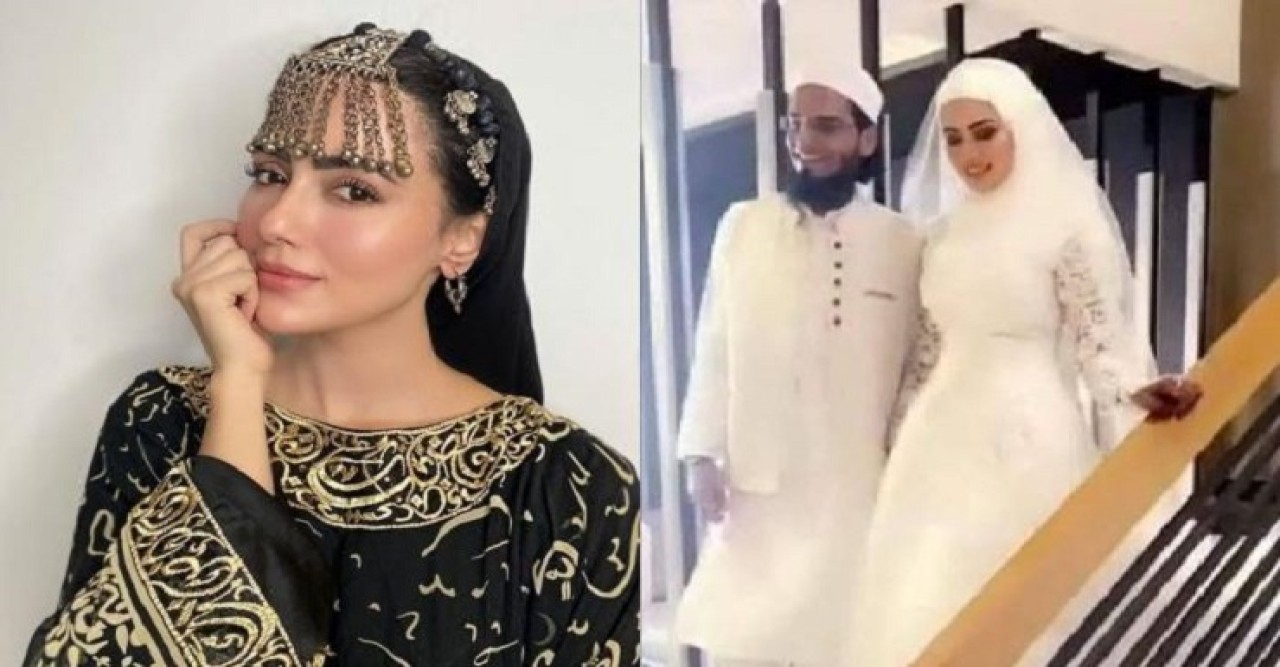 সানা খানকে কি ‘ব্রেনওয়াশ’ করে বিয়ে করেছেন মুফতি আনাস?