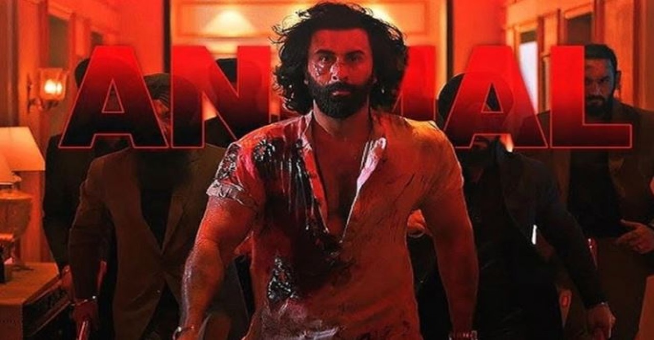 অ্যানিমেলের বিরুদ্ধে নকলের অভিযোগ!