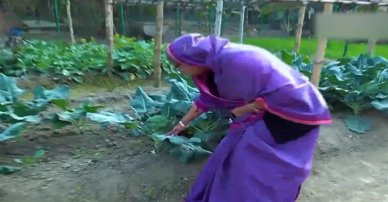 গণভবনকে 'খামারবাড়িতে' পরিণত করেছেন প্রধানমন্ত্রী