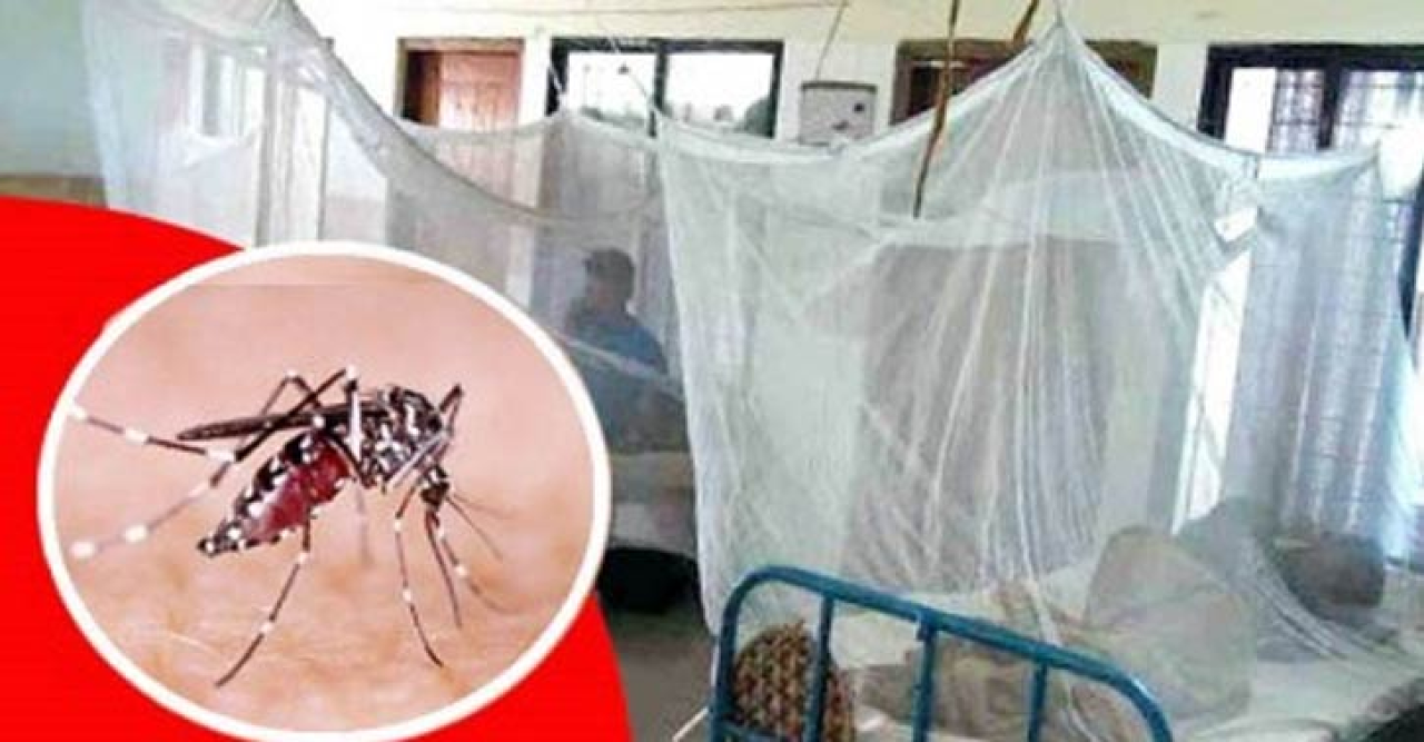 জুনের চেয়ে জুলাইয়ে ডেঙ্গু বেড়েছে ৭ গুণ