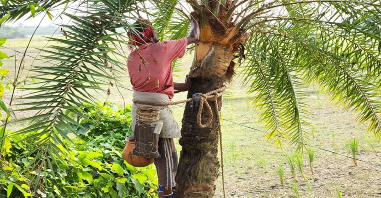 নভেম্বরের মাঝামাঝিতে শীতের আমেজ শুরু