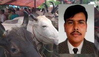 বনের পশু নয় মনের পশু কোরবানি দিন