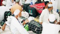 হজ ব্যবস্থাপনা সংক্রান্ত জাতীয় ও নির্বাহী কমিটি গঠন