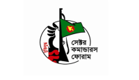 জাতিসংঘের সামনে মুক্তিযোদ্ধাদের শোভাযাত্রা ৯ ডিসেম্বর