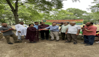 নিউইয়র্কে বরুড়া উপজেলা অ্যাসোসিয়েশন ইউএসএ’র বর্ণাঢ্য বনভোজন
