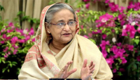 একটু আন্দোলন সংগ্রাম দেখলে ভয় পাবেন না : প্রধানমন্ত্রী