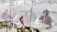 ২৪ ঘণ্টায় ডেঙ্গুতে ১৪ মৃত্যু, হাসপাতালে ২১১৫