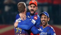 পাঞ্জাবকে বিদায় করে প্লে-অফের আশা বাঁচিয়ে রাখলো বেঙ্গালুরু