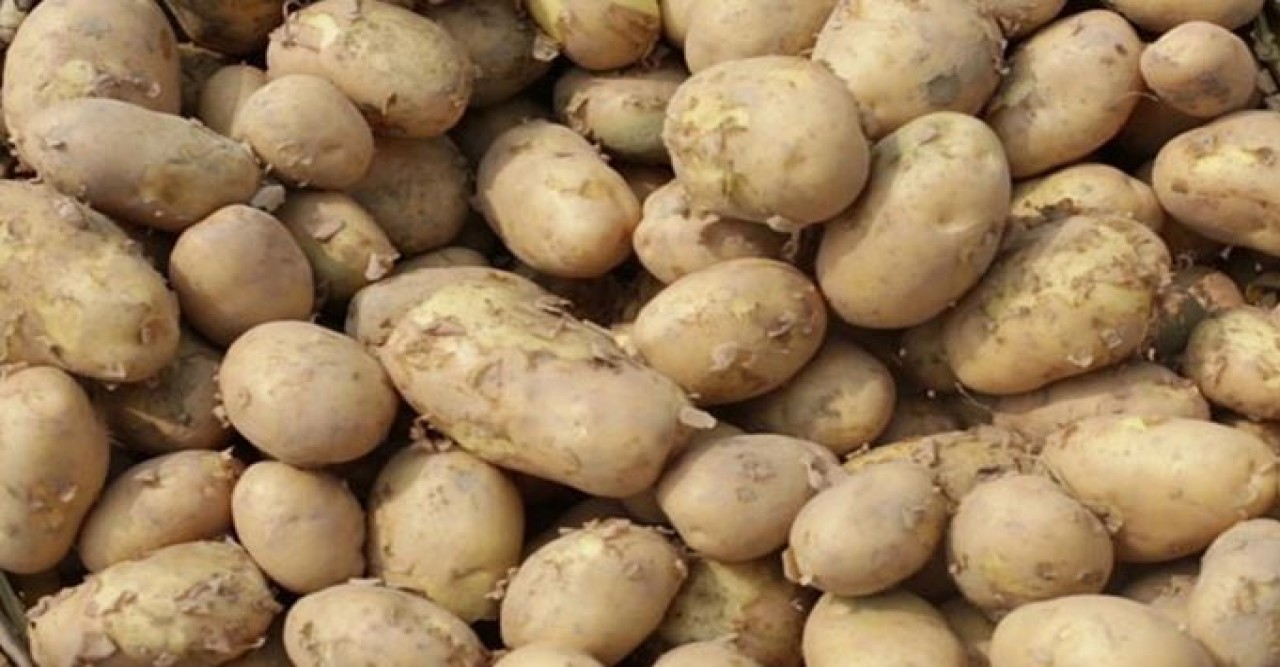 আলু এলো ভারত থেকে, বিক্রি সম্ভব ৩০ টাকা কেজিতে