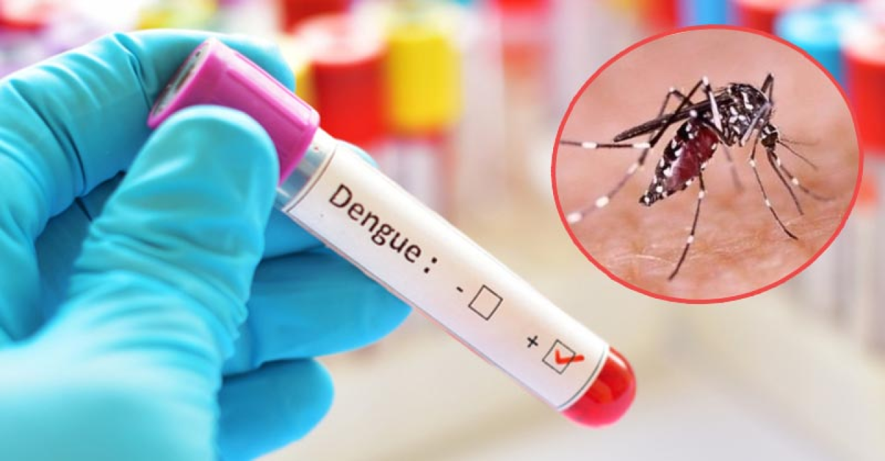 করোনায় দুজনের মৃত্যু, ডেঙ্গুতে ১