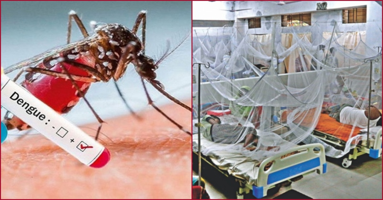 ডেঙ্গুতে আরো দুজনের মৃত্যু