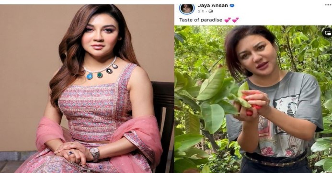 লাল জামরুল তুলছেন জয়া, দিলেন ভিডিও