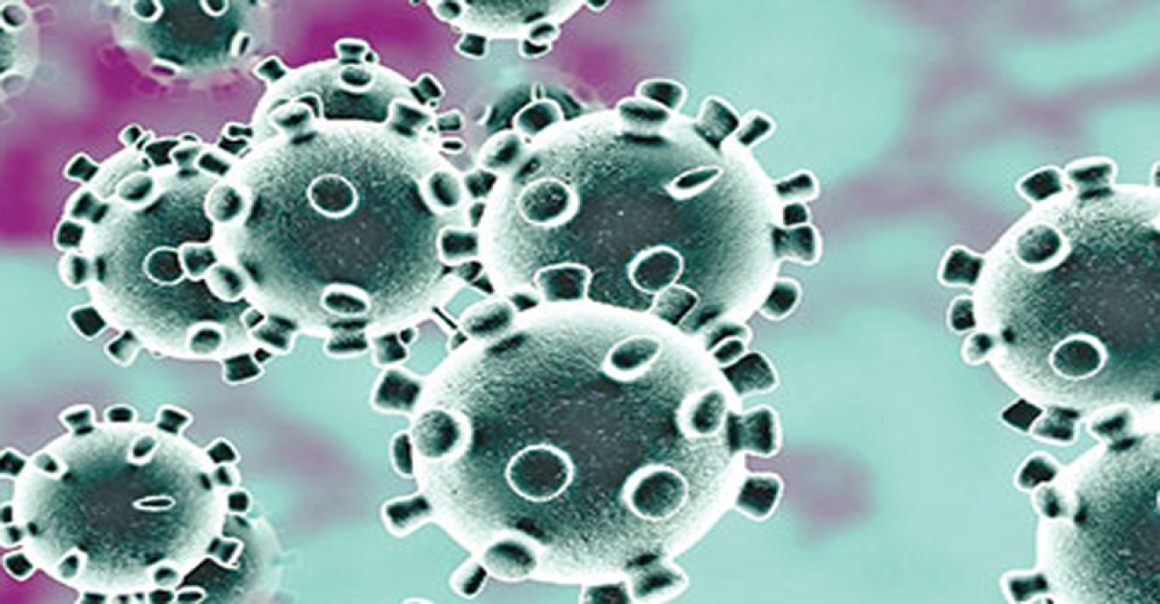 ২৪ ঘণ্টায় ২১ জনের করোনা শনাক্ত