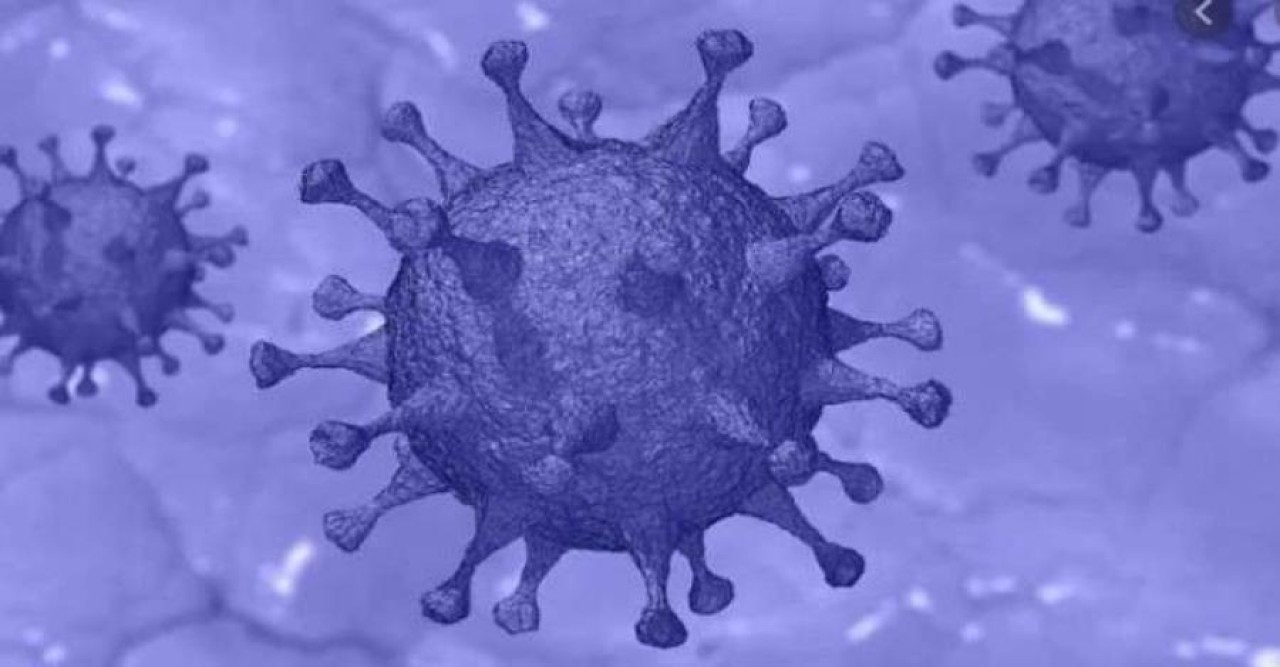 করোনায় মৃত্যুশূন্য দিনে শনাক্ত ১১