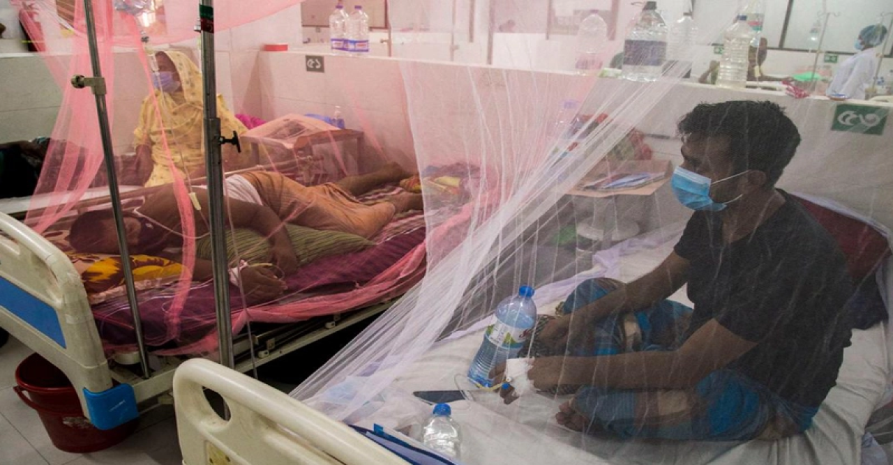 ডেঙ্গু আক্রান্তের সংখ্যায় ঢাকা প্রথম, দ্বিতীয় কক্সবাজার!