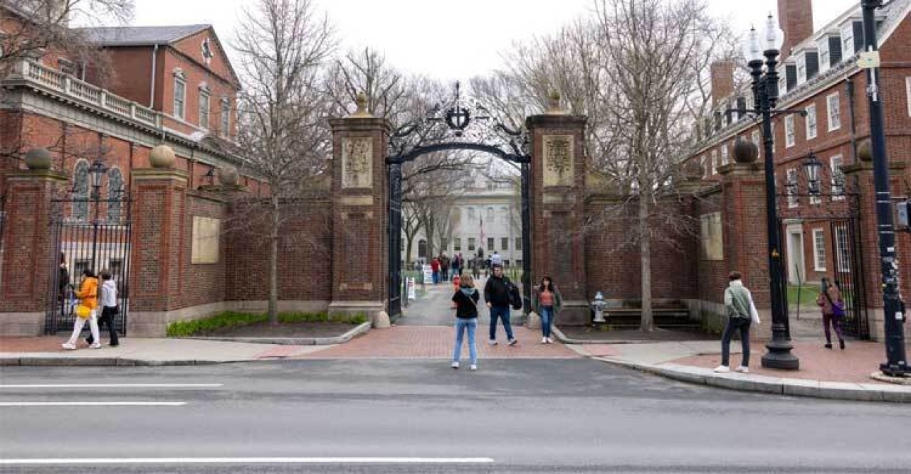 হার্ভার্ডে বিদেশি শিক্ষার্থী ভর্তির সুযোগ বাতিল করলেন ট্রাম্প