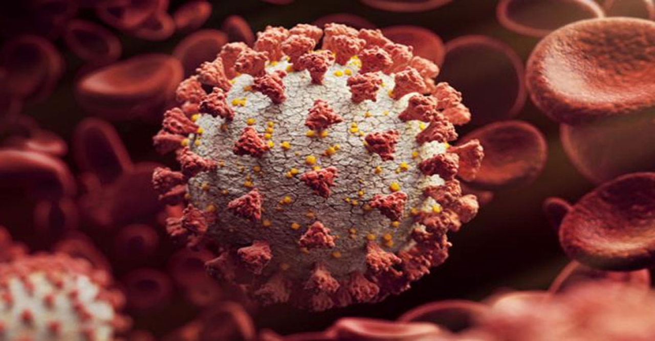 টানা তিন দিন করোনায় মৃত্যু দেখেনি বাংলাদেশ