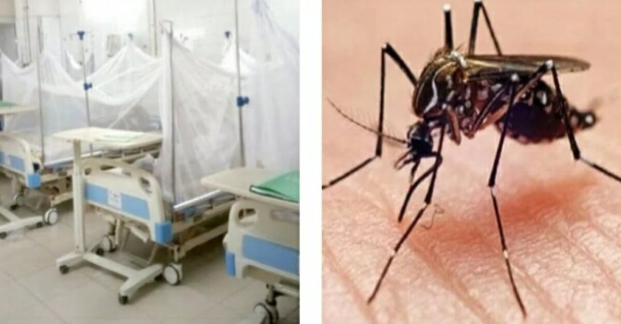 ডেঙ্গু কেড়ে নিল আরো ৪ প্রাণ