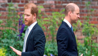 বড় ভাই উইলিয়ামের মারধরের কথা বইয়ে জানালেন প্রিন্স হ্যারি