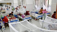 ডেঙ্গুতে আরো ১০ জনের মৃত্যু