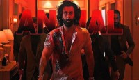 অপ্রতিরোধ্য ‘অ্যানিমেল’, ৩ দিনে ৩৫৬ কোটি