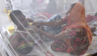 বাড়ছে ডেঙ্গু রোগী, এক দিনে রেকর্ডসংখ্যক ভর্তি