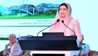 স্বাস্থ্যব্যবস্থাকে রোগ প্রতিরোধমুখী হতে হবে : জুবাইদা রহমান