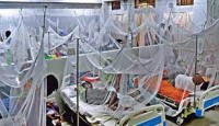 ডেঙ্গুতে ৫ জনের মৃত্যু, আক্রান্ত ৯০৩